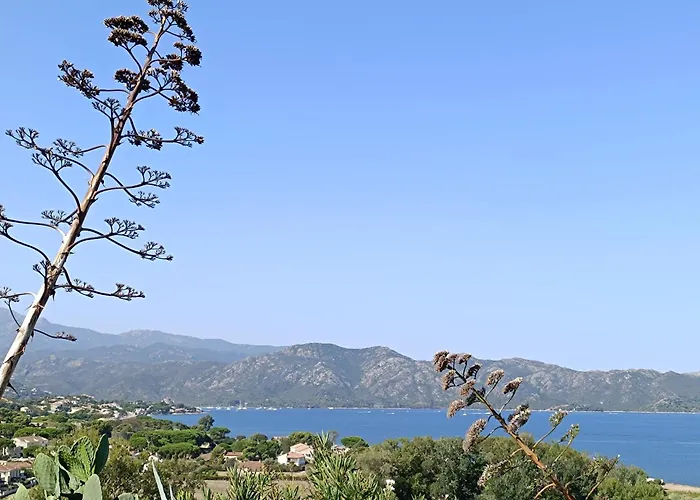 Couché De Soleil Appartement